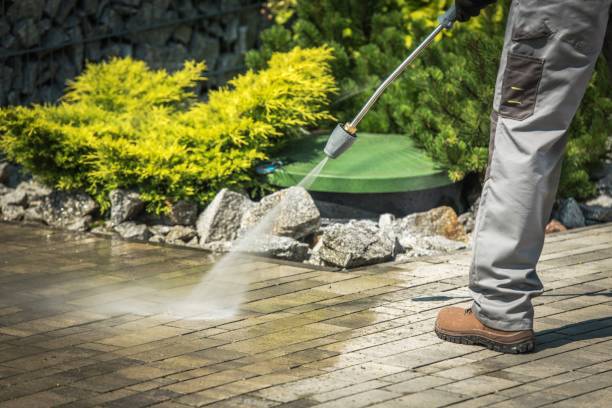 Best Roof Washing  in Malabar, FL